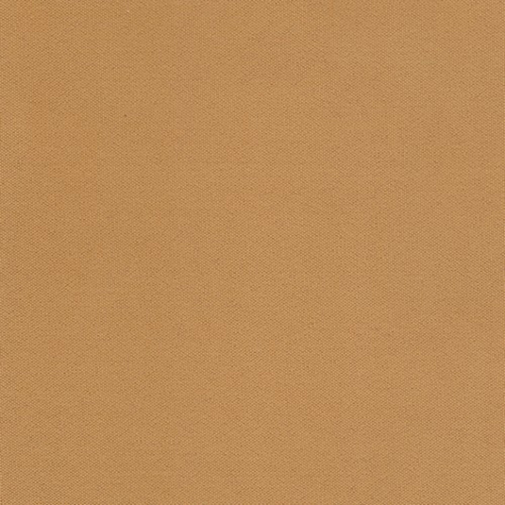 25 camel