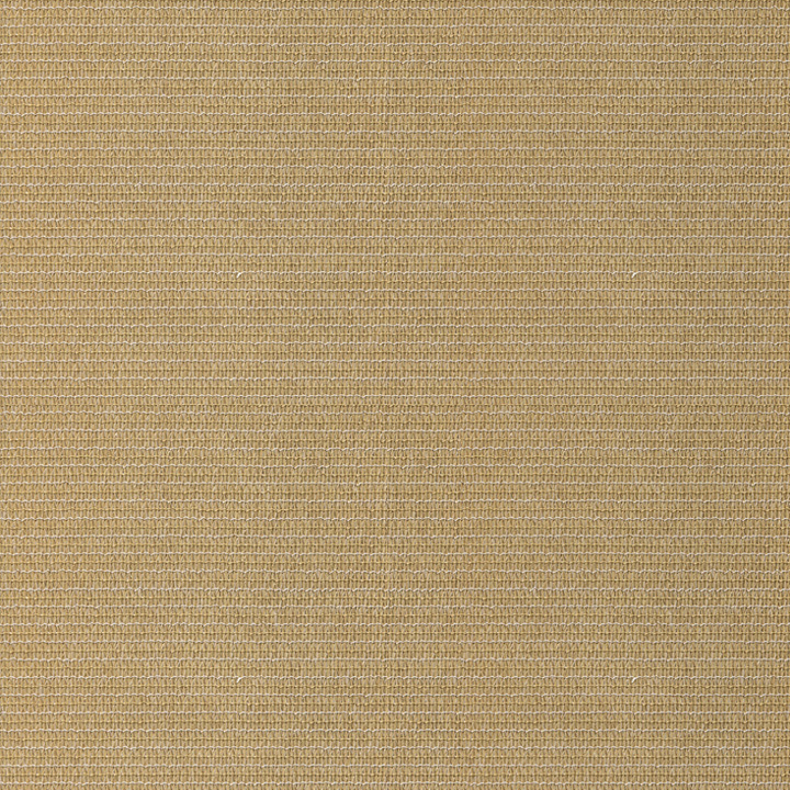 704 Desert Sand